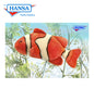 Clown Fish 12 in. (5078)
