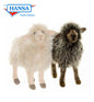 Sheep Mama Black 16 in. (3453)