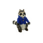 Raccoon Boy 9 in. (7830)