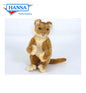 Lion Cub (Playful) 11 in. (5673)
