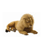 Lion, Male Large Lying (3568)