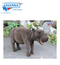 Hippo Ride-On (3025)