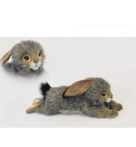 Bunny Blacktailed Floppy Ear 15 in. (6520)