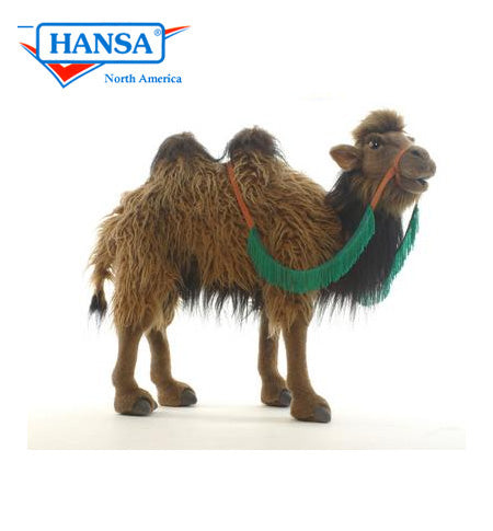 Camel, Bactrain 20 in. (5585)