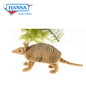Armadillo Mini Series (5798)