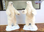 Polar Bears Talk/Sing Set of 2 60 in. (0608)