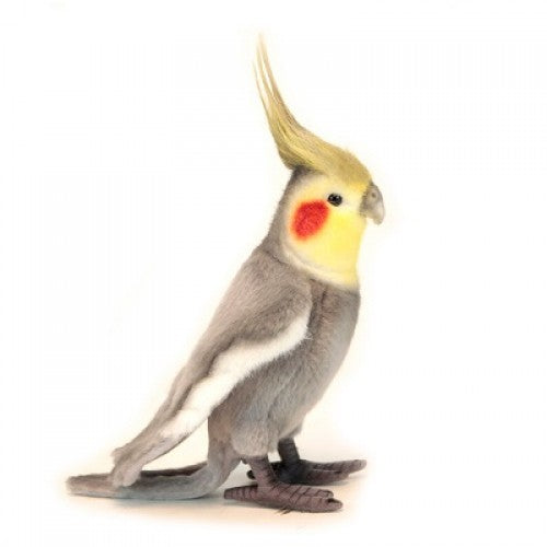 Cockatiel Gray 9" (6470)