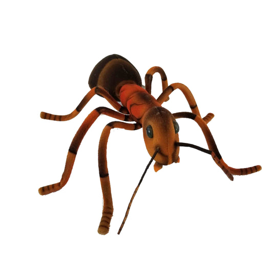 Ant 10 in. (8076)