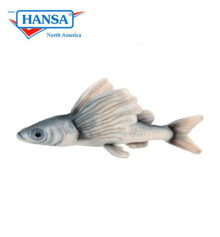 Flying Fish Sharpchin (6049)
