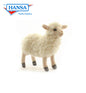 Little Lamb, Cream 7 in. Ark size (4562)