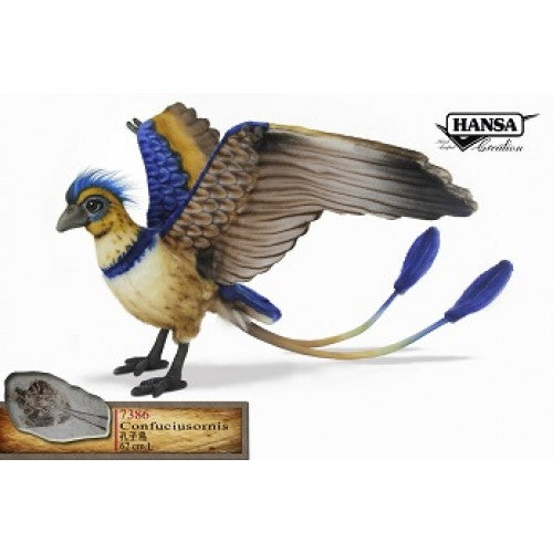 Confuciousornis (7386)