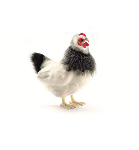 French Hen Black and White 12 in. (5620)