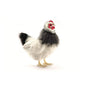 French Hen Black and White 12 in. (5620)