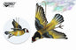 Gold Finch Flying 8.3"W (8114)