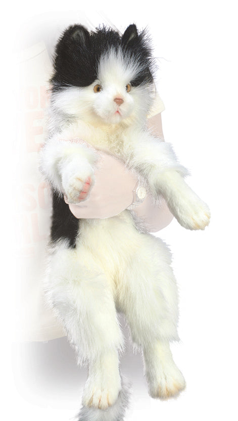 Cat, Cuddly Black And White (4642)