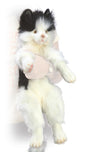 Cat, Cuddly Black And White (4642)