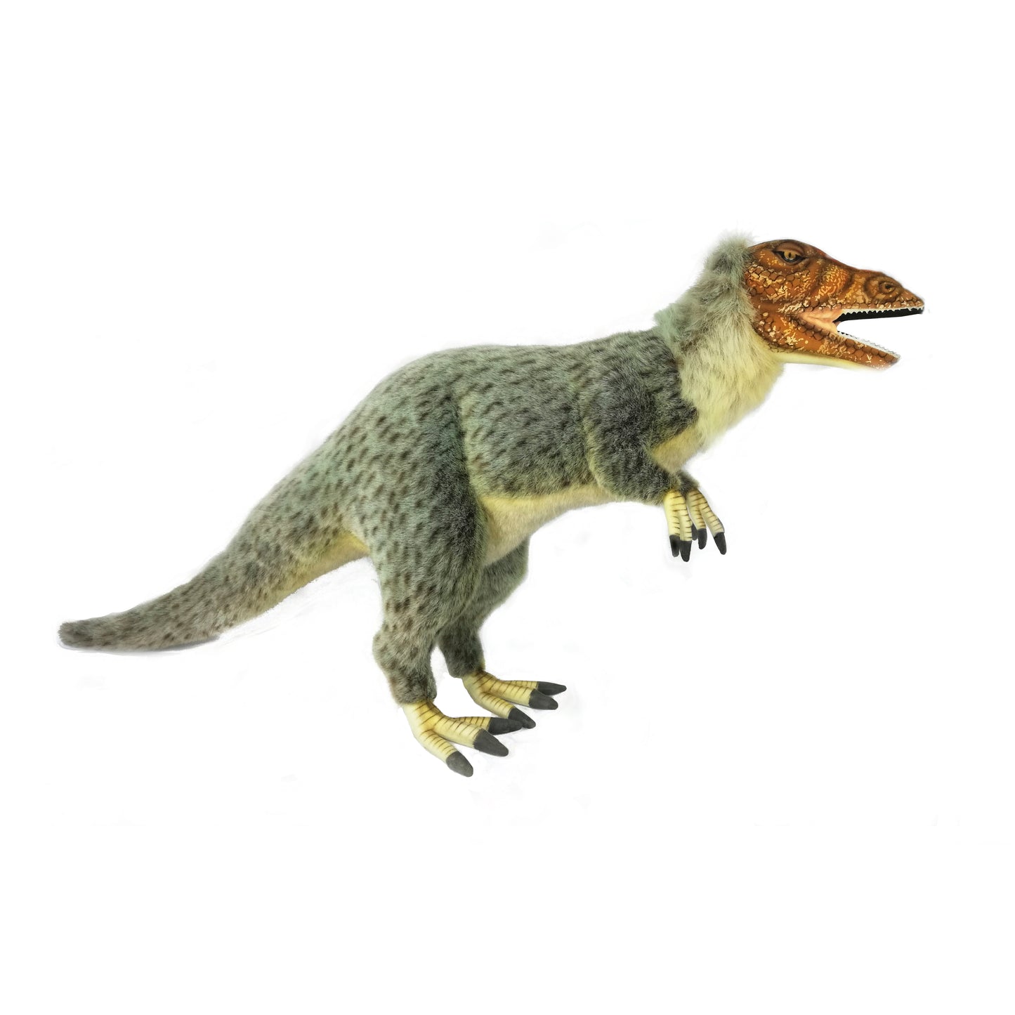 Yutyrannus 43 in. (7791)
