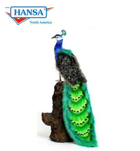 Peacock, 40in Long Tail X 13"H (5437)