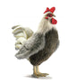 Rooster Bantam 12 in. (4198)