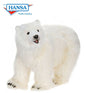 Polar Bear on All 4's (4446)