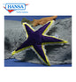 Starfish 14 in. (5076)