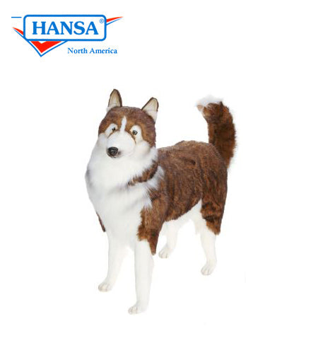 Husky, Life Size (5046)