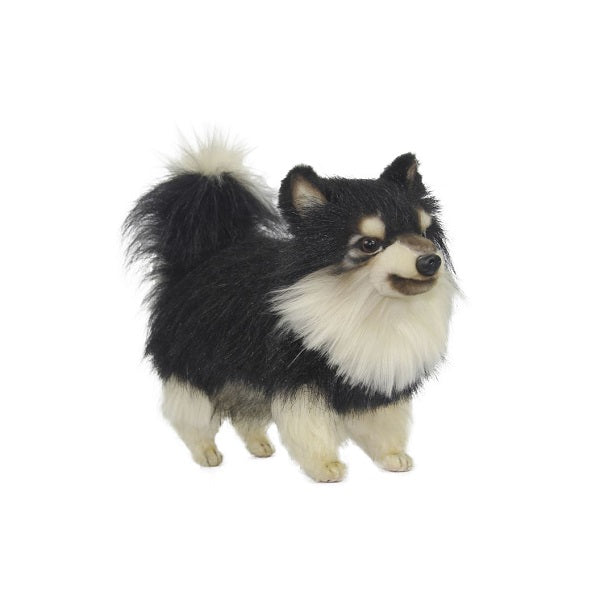 Pomeranian Dog (Black/White) 14 in. (8043)