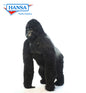Silverback Gorilla Small 39 in. (3490)