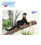 Otter 9 in. (5679)