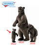 Grizzly Bobo (3622)