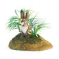 Jack Rabbit  8 in. (5911)