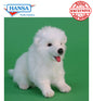 Samoyed Puppy (5267)