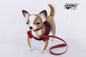 Chihuahua with Black Shirt 9 in. (7549)