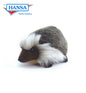 Hedgehog 8 in. (3957)