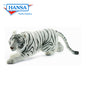 White Tiger Prowling (3980-S)