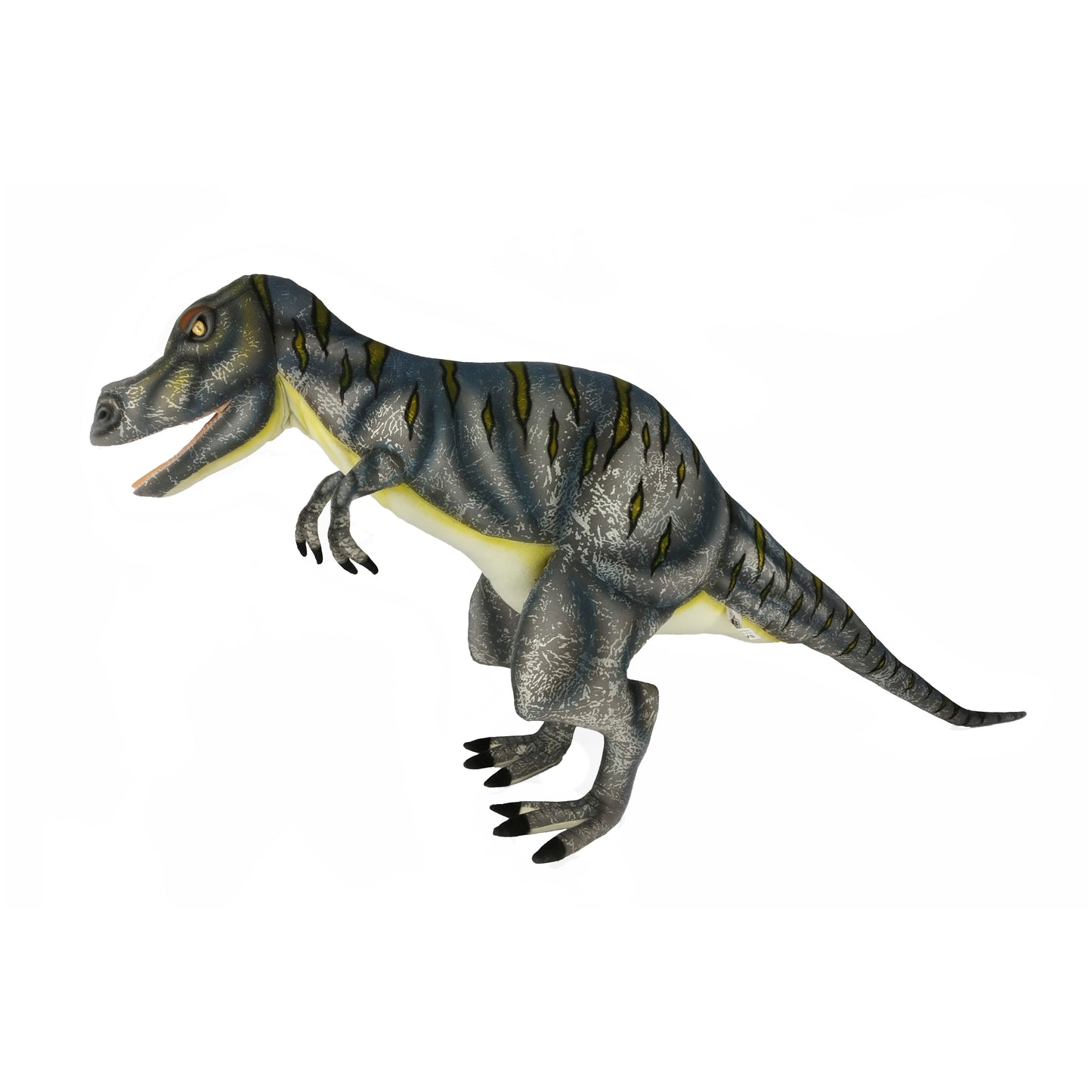 Giganotosaurus 43 in. (7789)