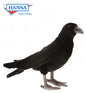 Black Crow 12.1"L (6266)