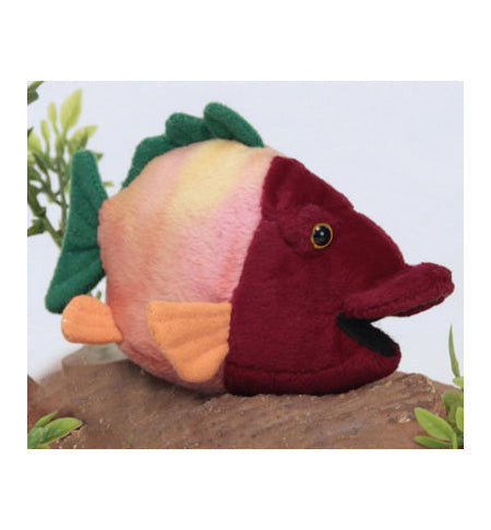 Fish, tropical (Ark Size) (2977)