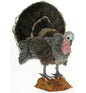 Turkey, Med w/ Stand (6847)