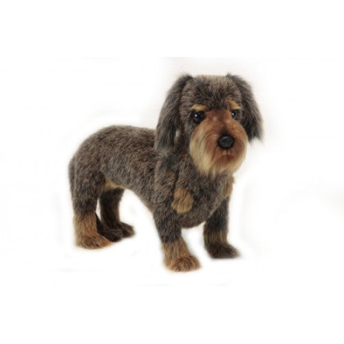 Dachshund Long Hair 13 in. (6325)