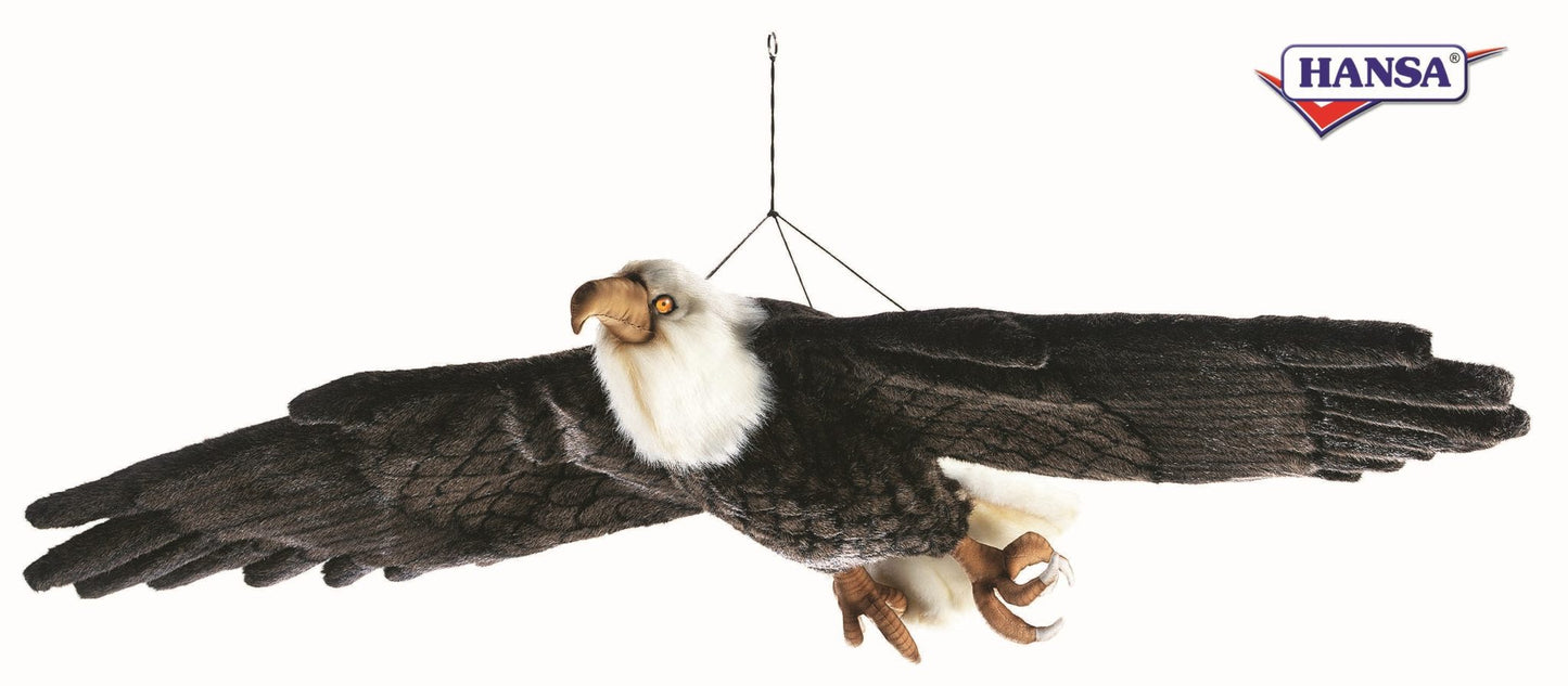 American Eagle, Flying (3259)