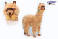 Alpaca Ride-On 39 in. Brown (6446)