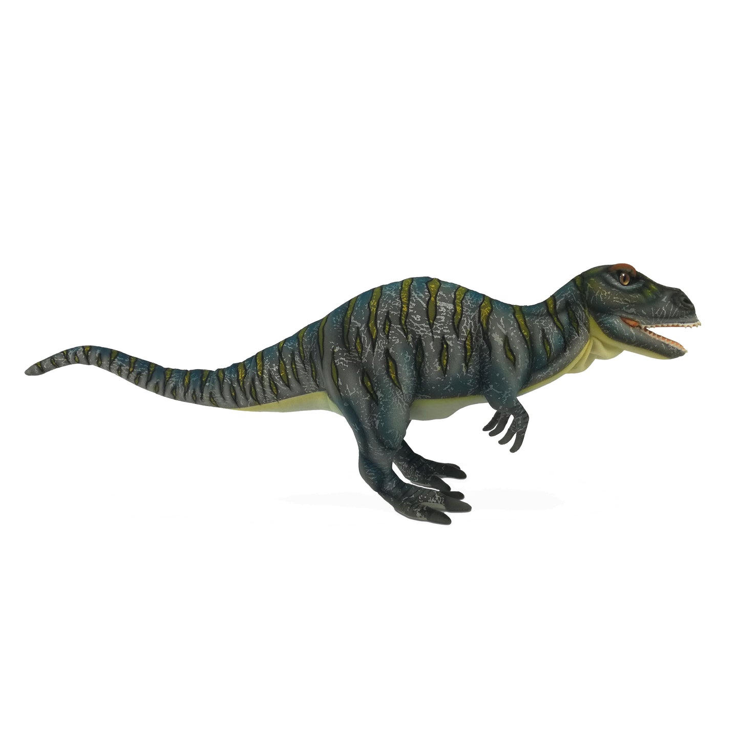 Giganotosaurus 25 in. (7788)