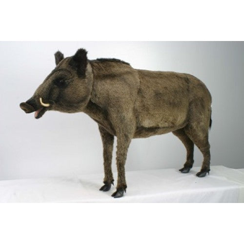Wild Boar Standng 57 in. (4334)