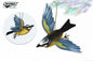 Blue Bird Flying 8.33"W (8116)
