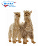 Llama, Lady 17 in. (3583)