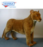Lioness Standing (4318)