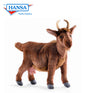 Goat Medium Brown 13 in. (4148)