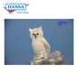 Snow Owl 7''H (6155)