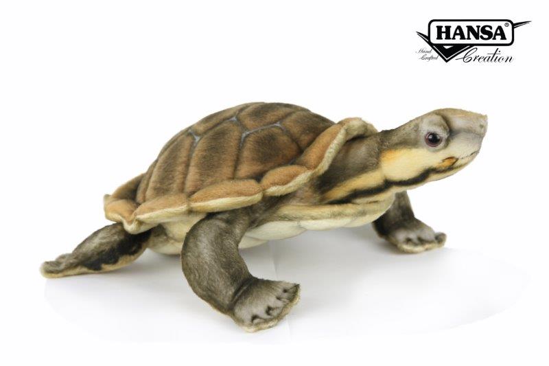 River Turtle 11 in. (8426)